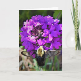 Hummingbird Moth & Verbena, Karte