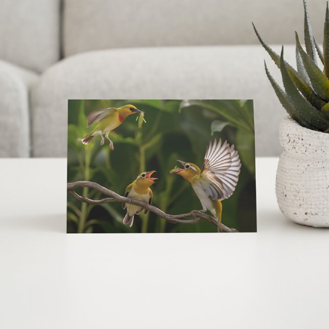 Hummingbird Mother Postkarte (Von Creator hochgeladen)