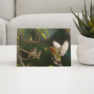 Hummingbird Mutterfood Postkarte