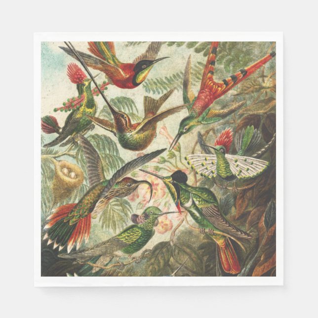 Hummingbird Napkins oder Decoupage Serviette (Vorderseite)