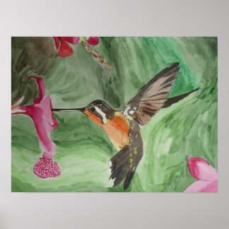 Hummingbird Nectar Poster
