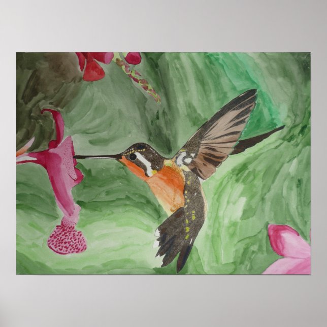 Hummingbird Nectar Poster (Vorne)