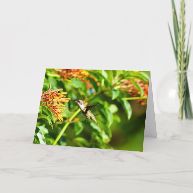Hummingbird Note Card<Blank Inside> Dankeskarte (Vorderseite)