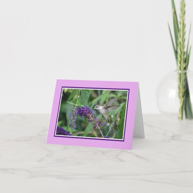 Hummingbird Note Card Karte (Vorderseite)