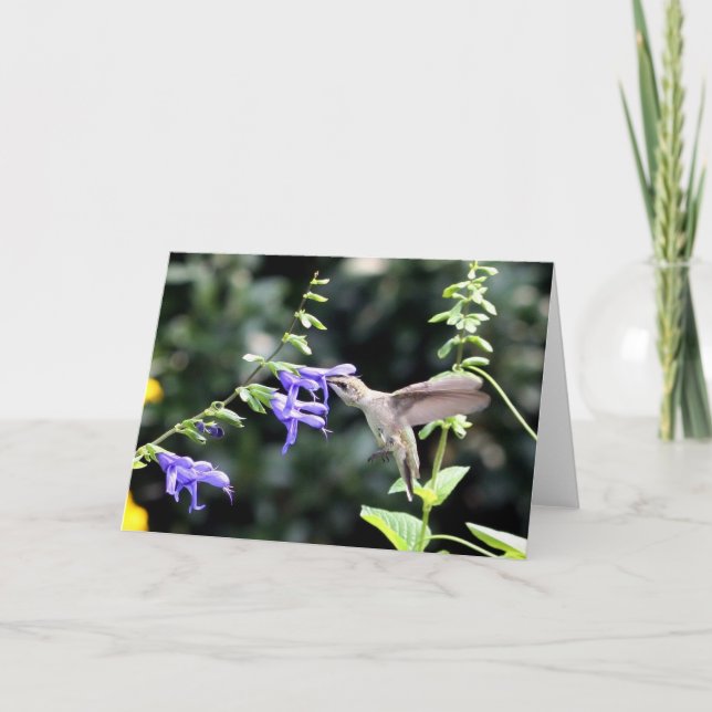 Hummingbird Note Card Karte (Vorderseite)