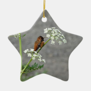 Hummingbird on Queen Ann's lace flower Keramik Ornament