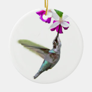 Hummingbird Ornament