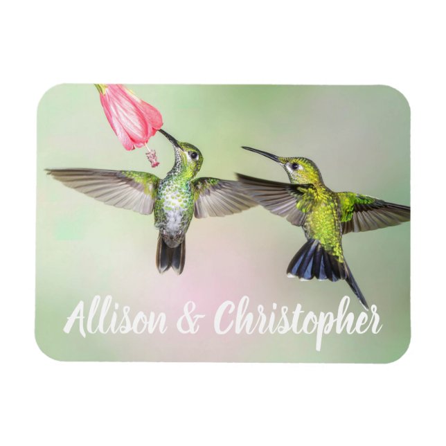 Hummingbird Paar Flying Together Personalized Magnet (Horizontal)