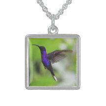 Hummingbird-Pendelhalskette