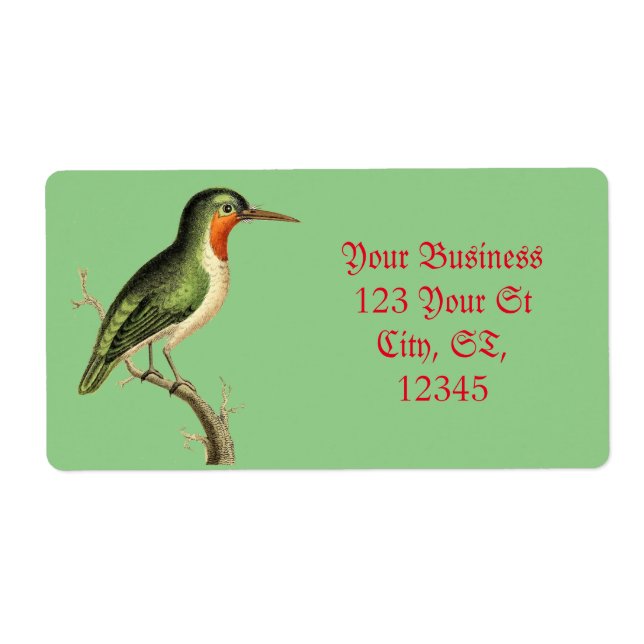 Hummingbird Perched Thunder_Cove (Vorne)