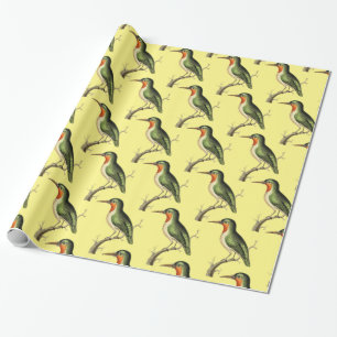Hummingbird Perched Thunder_Cove Geschenkpapier