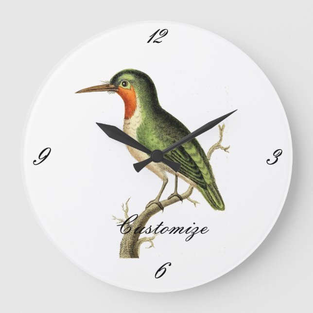 Hummingbird Perched Thunder_Cove Große Wanduhr (Vorderseite)