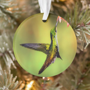 Hummingbird Pink Blume Bird Ornament