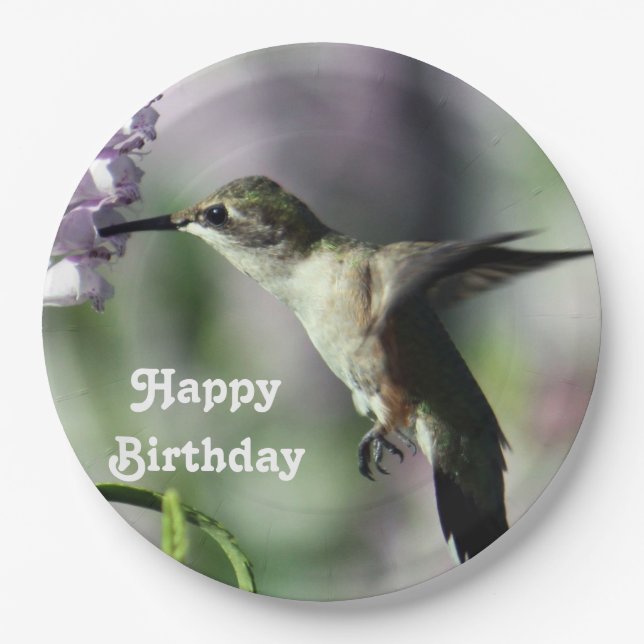 Hummingbird Pink Floral Wildlife Foto Geburtstag Pappteller (Vorderseite)