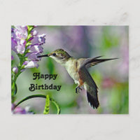 Hummingbird Pink Floral Wildlife Foto Geburtstag