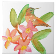 Hummingbird Plumeria Wasserfarbe Blume