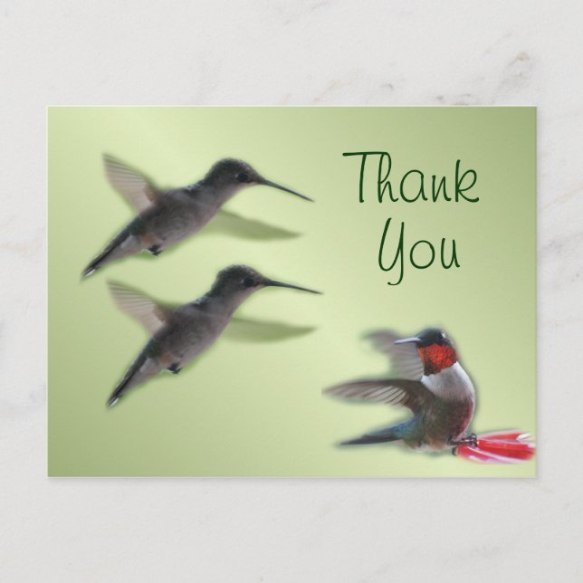 Hummingbird Postcard Vielen Dank oder jede Gelegen Postkarte (Vorderseite)