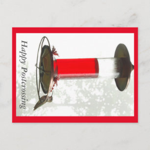 Hummingbird Postcrossong Postcard Postkarte