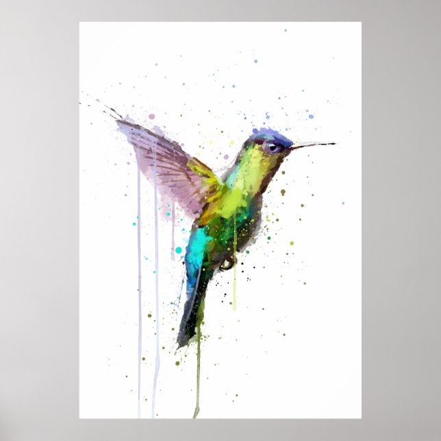 Hummingbird Poster (Vorne)