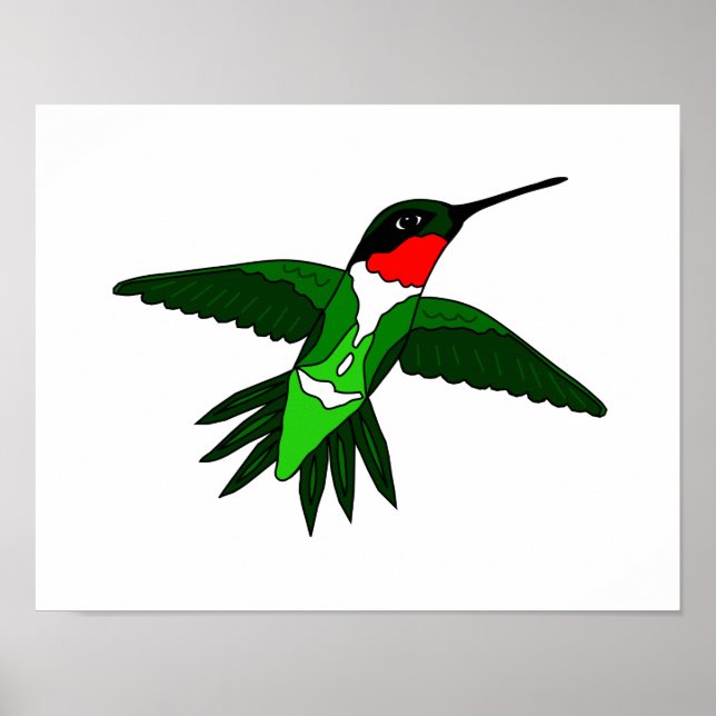 Hummingbird Poster (Vorne)