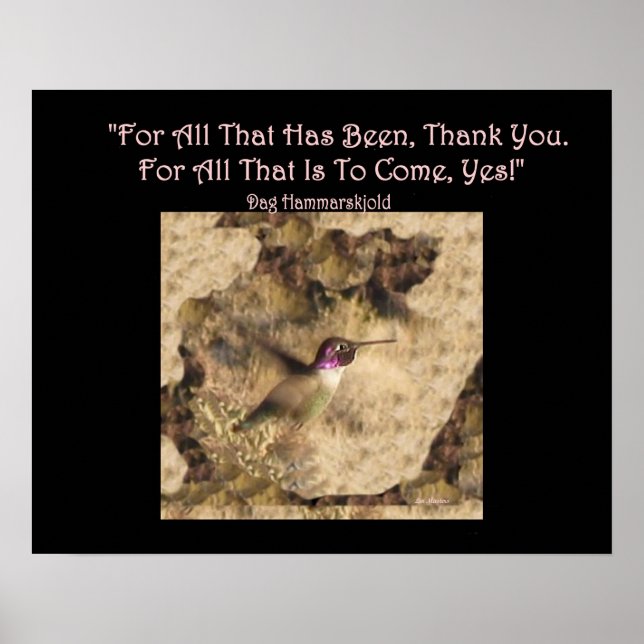 Hummingbird Poster ... Danke und Ja! (Vorne)