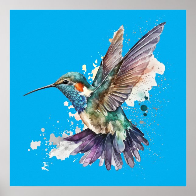Hummingbird-Poster Poster (Vorne)