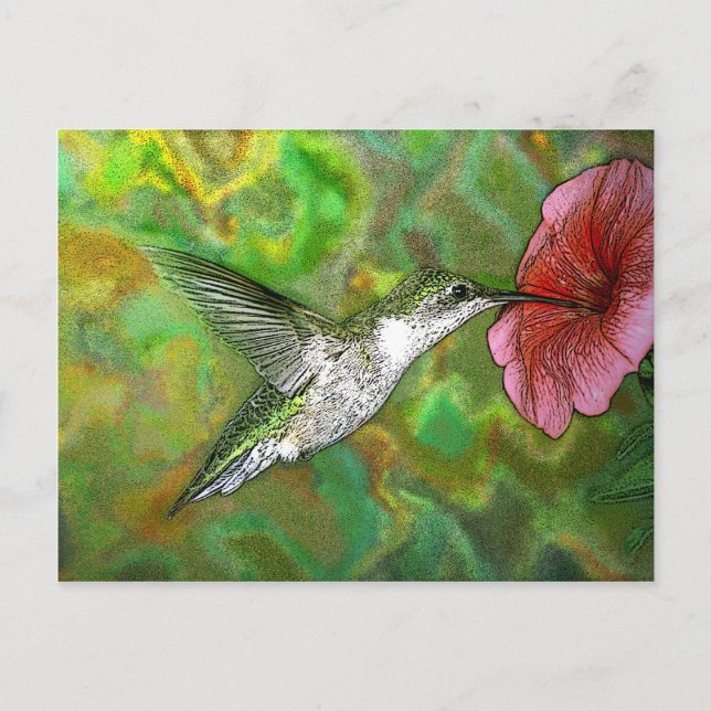 Hummingbird Postkarte (Vorderseite)