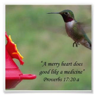 Hummingbird Proverbs 17:20 Bible Verse Fotograf Fotodruck