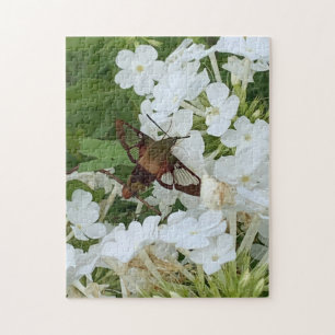 Hummingbird Puzzle