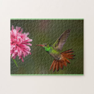 Hummingbird-Rätsel Puzzle