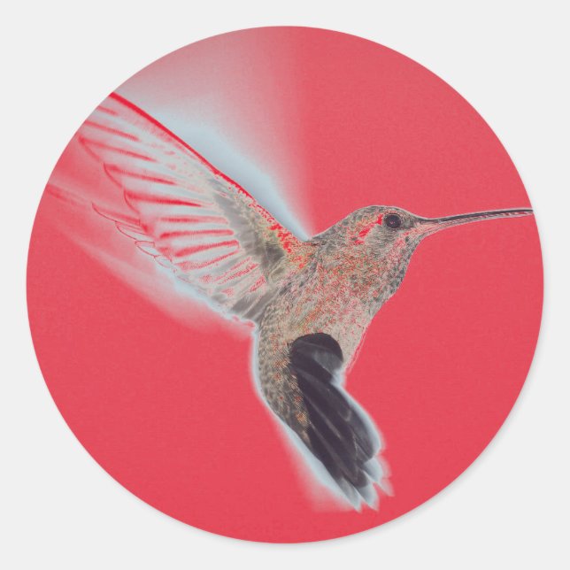 HUMMINGBIRD RED Sticker (Vorderseite)