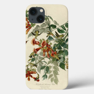 Hummingbird Ruby Throated Audubon iPhone 13 Hülle