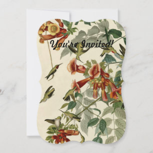 Hummingbird Ruby Throated Audubon Einladung