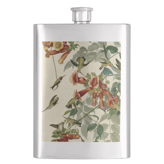 Hummingbird Ruby Throated Audubon Flachmann (Vorderseite)