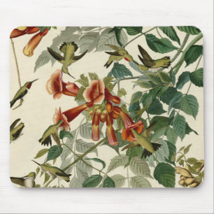 Hummingbird Ruby Throated Audubon Mousepad