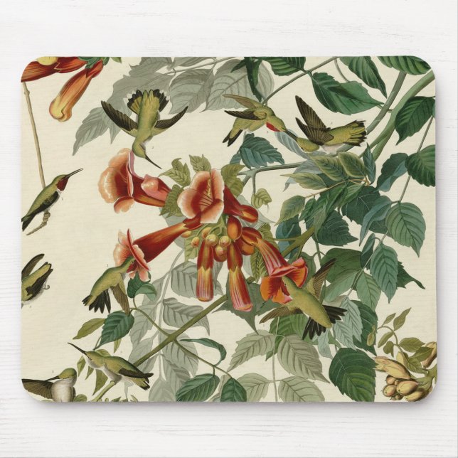 Hummingbird Ruby Throated Audubon Mousepad (Vorne)