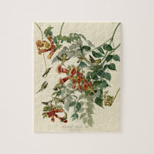 Hummingbird Ruby Throated Audubon Puzzle