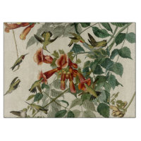 Hummingbird Ruby Throated Audubon