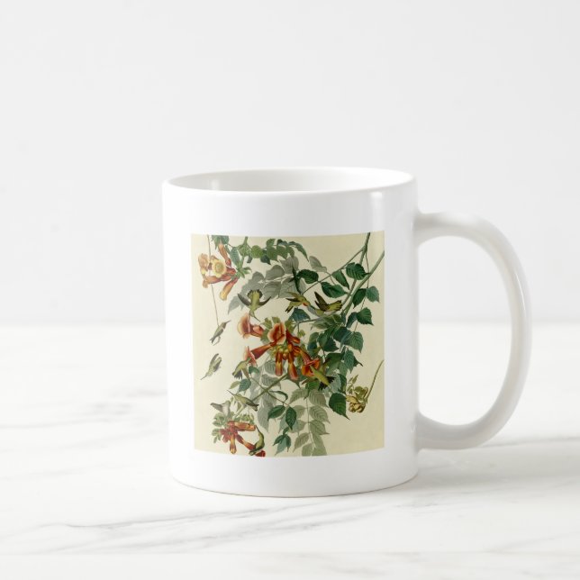 Hummingbird Ruby Throated Audubon Tasse (Rechts)
