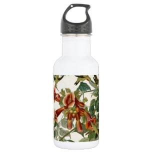 Hummingbird Ruby Throated Audubon Trinkflasche