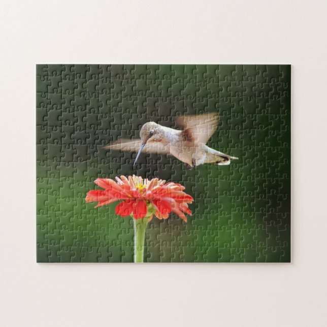 Hummingbird schwingt über das Puzzle der roten Blu (Horizontal)