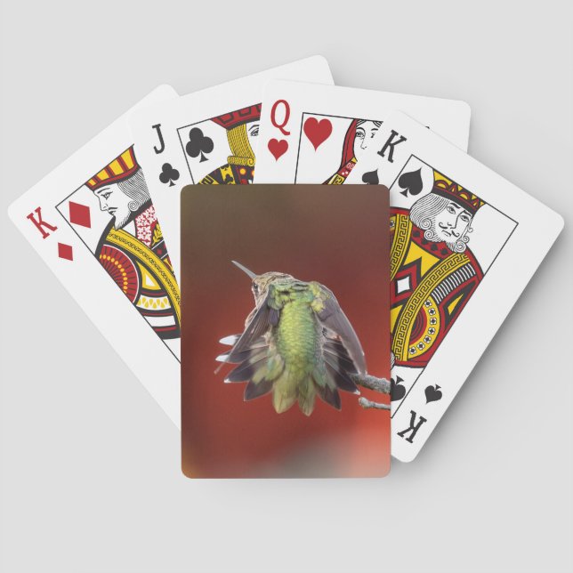 Hummingbird Shuffle Spielkarten (Rückseite)