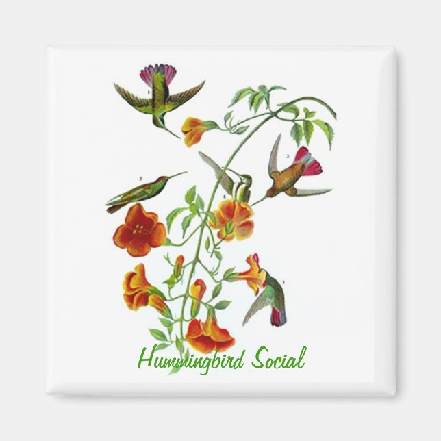 Hummingbird Social Magnet (Vorne)
