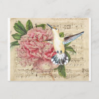 Hummingbird Song