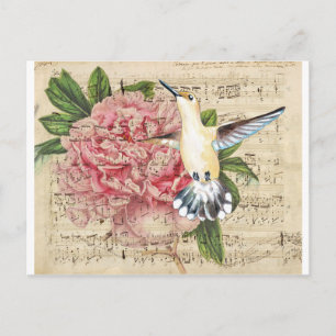 Hummingbird Song Postkarte