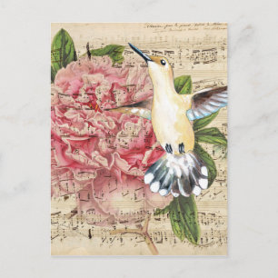 Hummingbird Song Postkarte