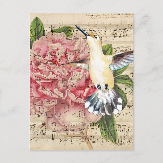 Hummingbird Song Postkarte (Vorderseite)