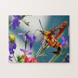 Hummingbird Sphinx Moth Butterfly. Puzzle