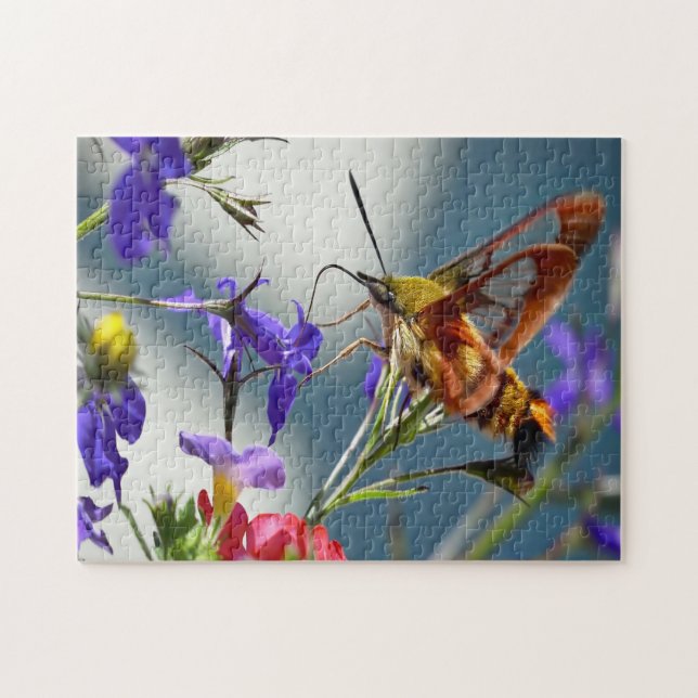 Hummingbird Sphinx Moth Butterfly. Puzzle (Horizontal)