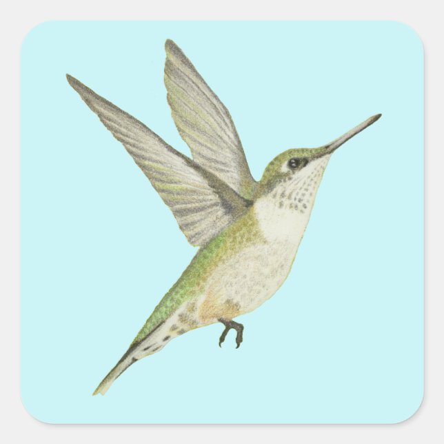 Hummingbird Square Sticker (Vorderseite)